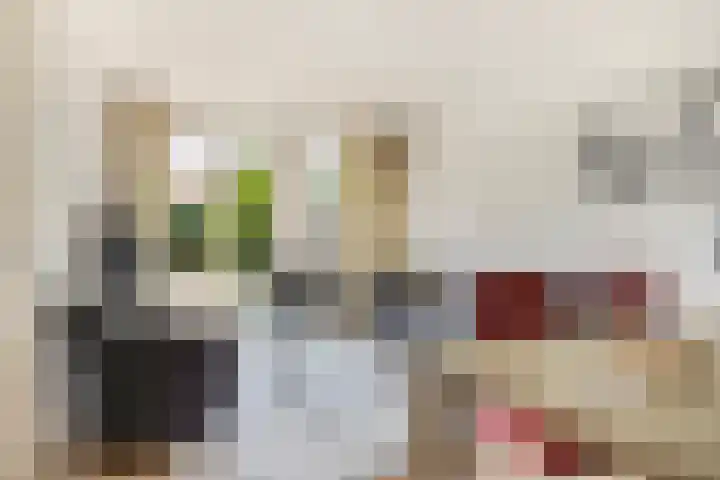 Teenschiller 2 Lopik foto 2