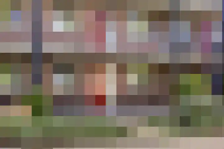 Teenschiller 2 Lopik thumbnail 21