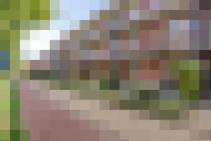 Teenschiller 2 Lopik thumbnail 28