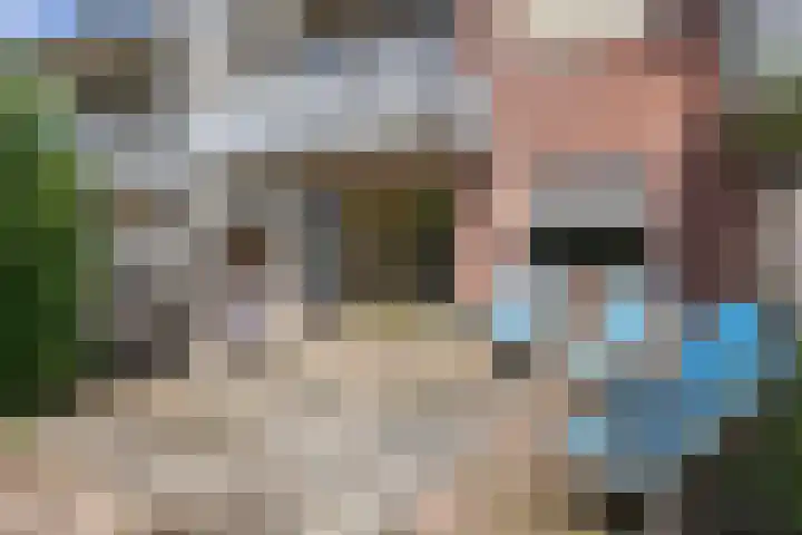 Teenschiller 2 Lopik thumbnail 4
