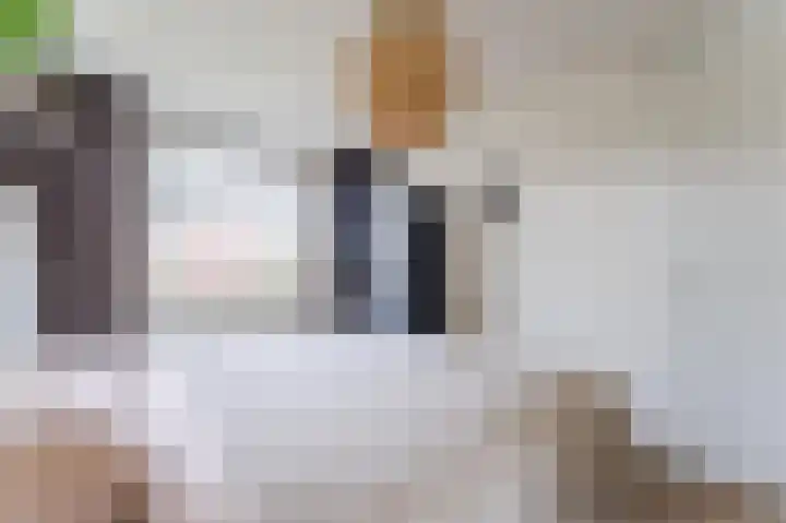 Teenschiller 6 Lopik thumbnail 13
