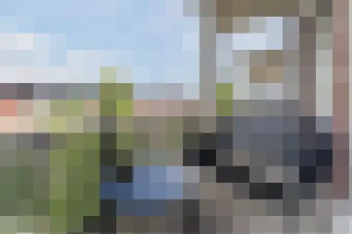 Teenschiller 6 Lopik thumbnail 21