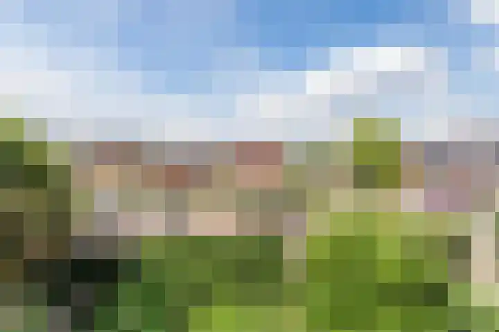 Teenschiller 6 Lopik thumbnail 23