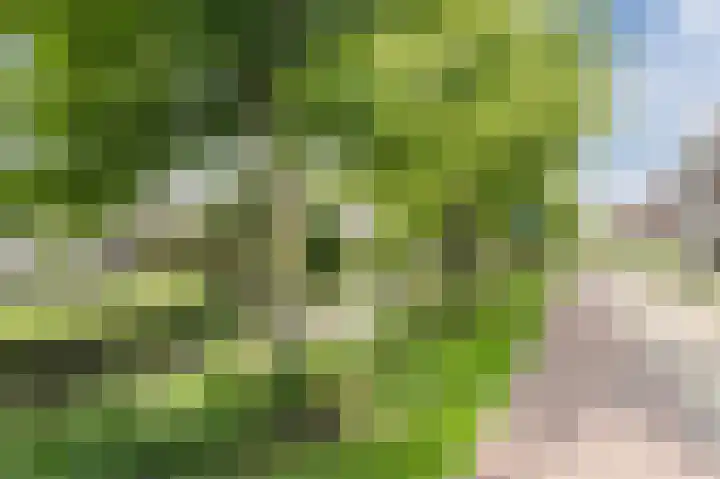 Teenschiller 6 Lopik thumbnail 29