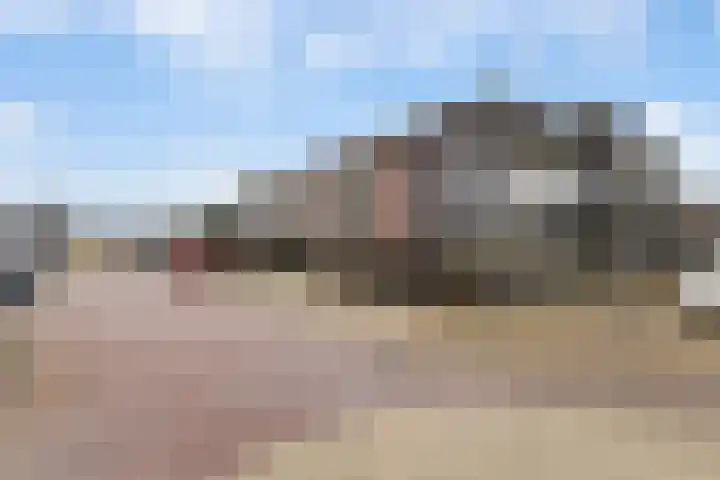 Teenschiller 8 en Lopik