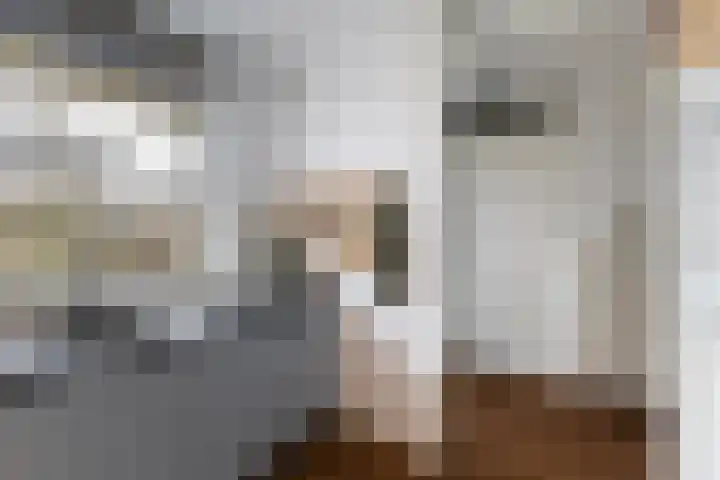 Teenschiller 8 Lopik thumbnail 22