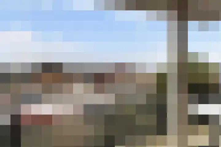 Teenschiller 8 Lopik thumbnail 23