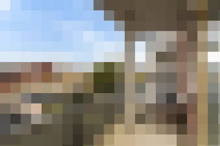 Teenschiller 8 Lopik thumbnail 25