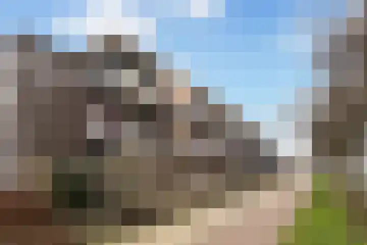 Teenschiller 8 Lopik thumbnail 34