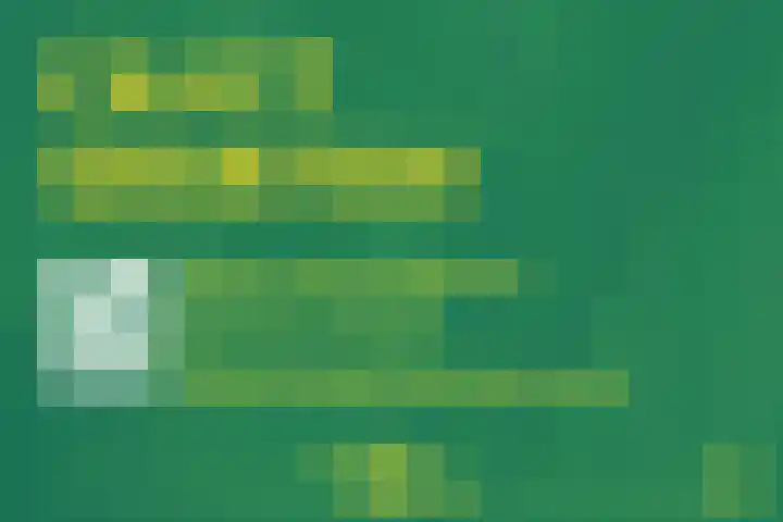 Teenschiller 8 Lopik thumbnail 36