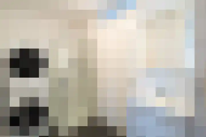 Teenschiller 8 Lopik thumbnail 5