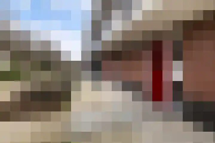 Teenschiller 8 Lopik thumbnail 7