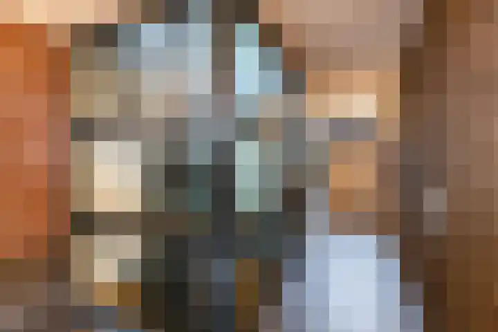 Teenschiller 8 Lopik thumbnail 9
