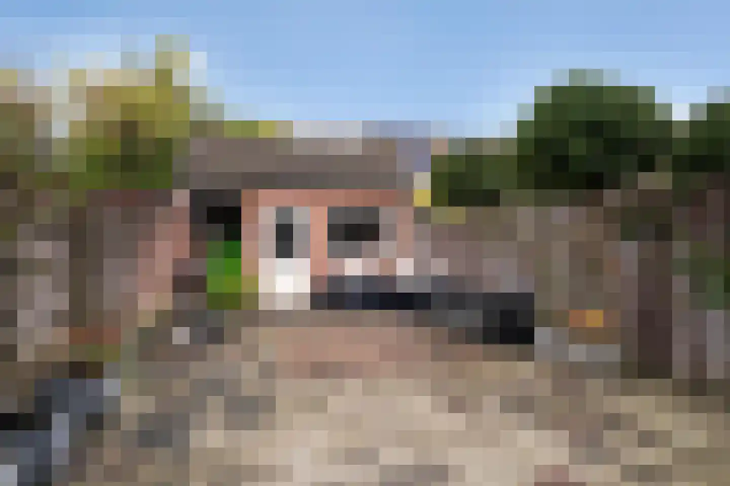 Teenschillerlaan 32 IJsselstein thumbnail 10