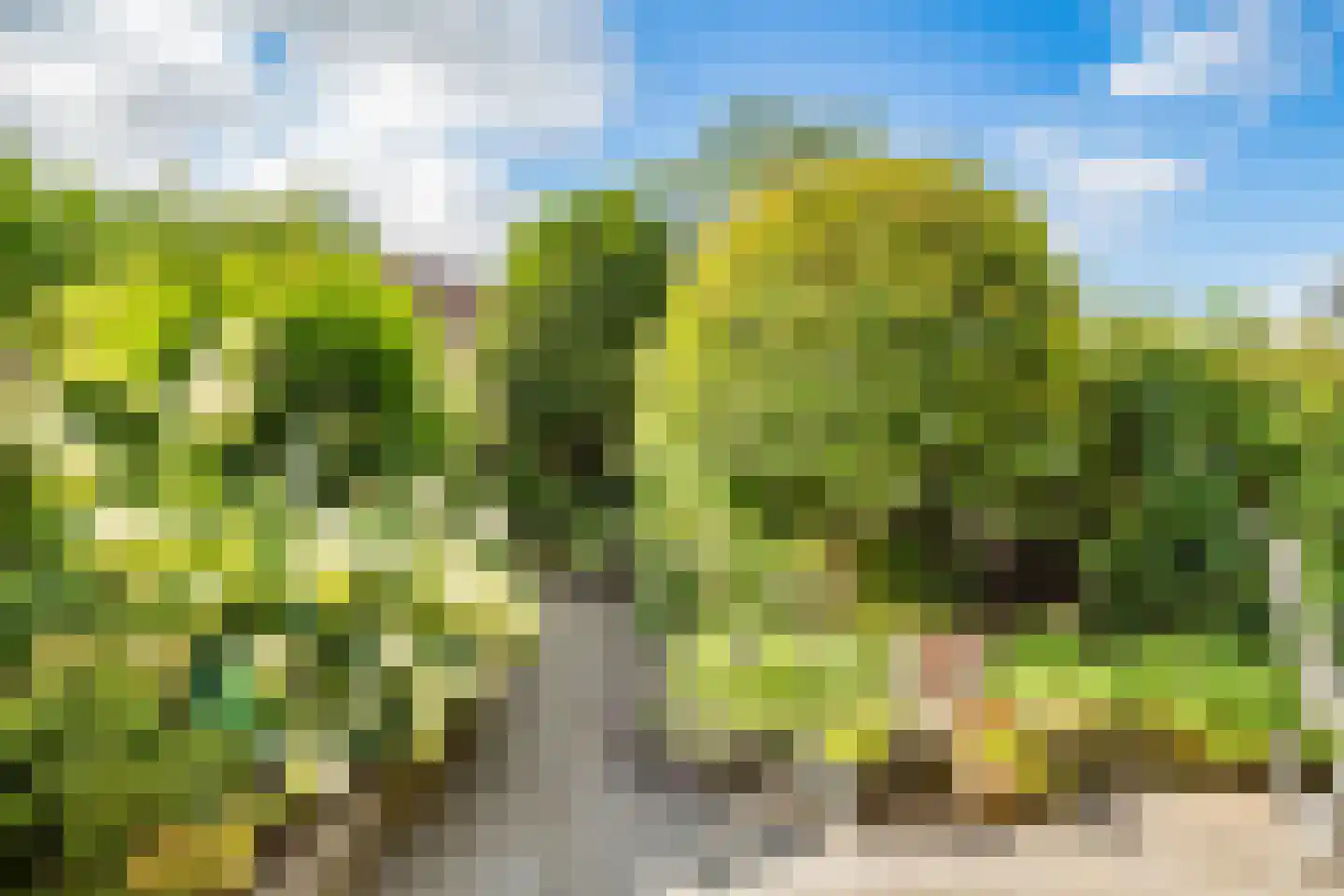 Teenschillerlaan 61 IJsselstein thumbnail 5