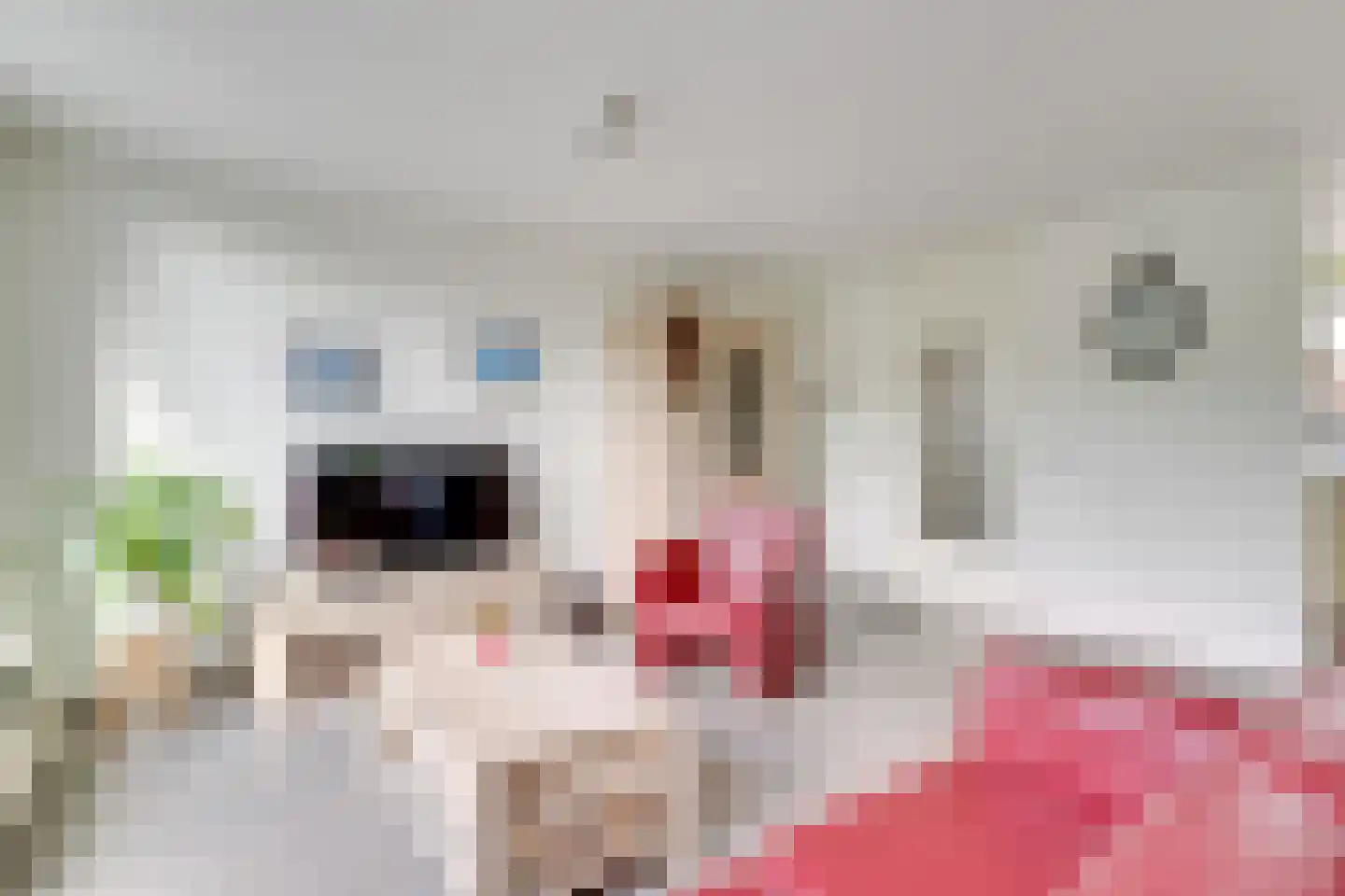 Teenschillerlaan 61 IJsselstein thumbnail 8
