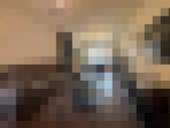 Teerlingstraat 13 Clinge thumbnail 6