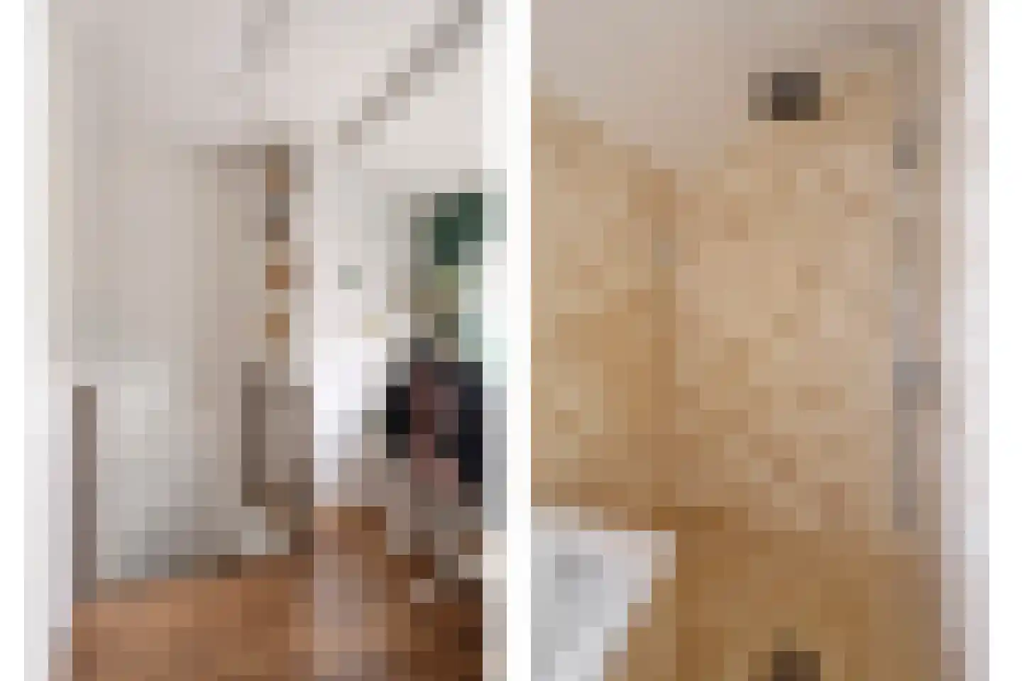 Teerlingstraat 26 Clinge thumbnail 16