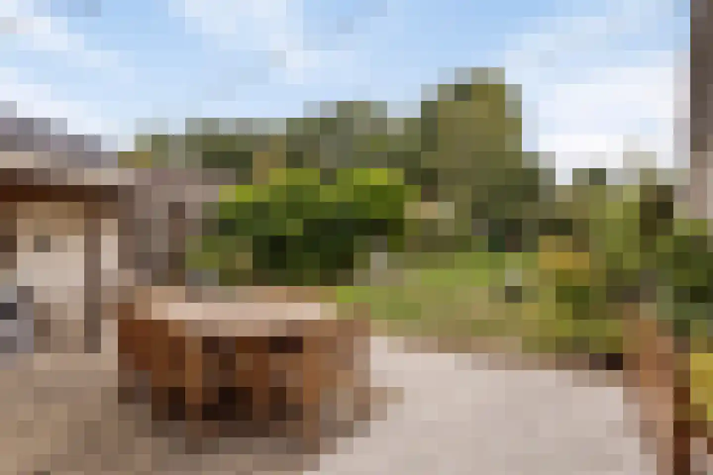 Teerlingstraat 26 Clinge thumbnail 23