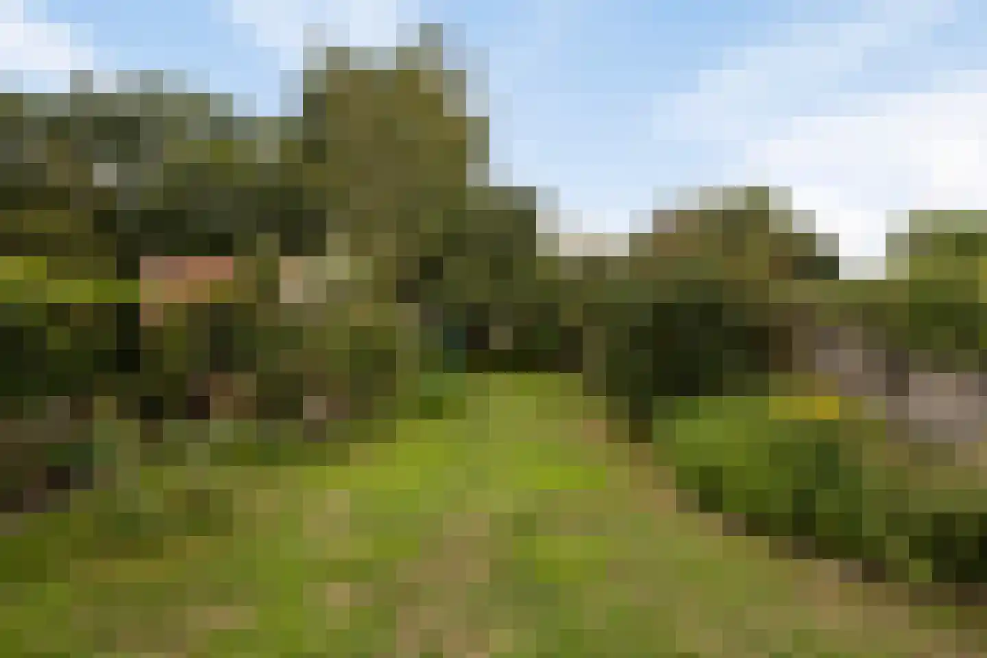 Teerlingstraat 26 Clinge thumbnail 24