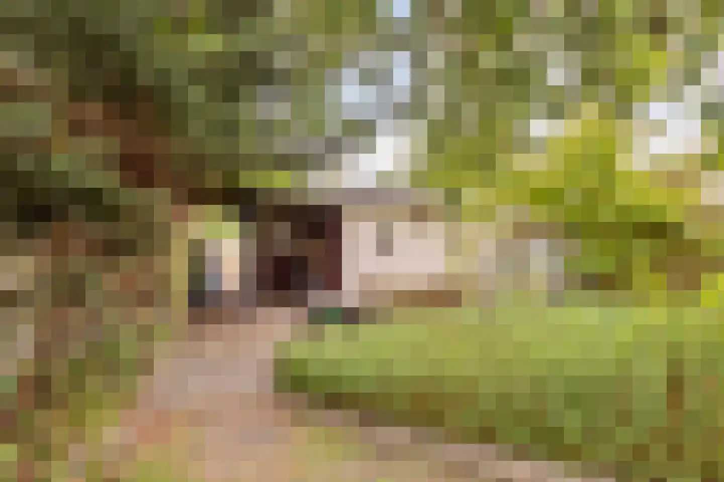 Teerlingstraat 26 Clinge thumbnail 25