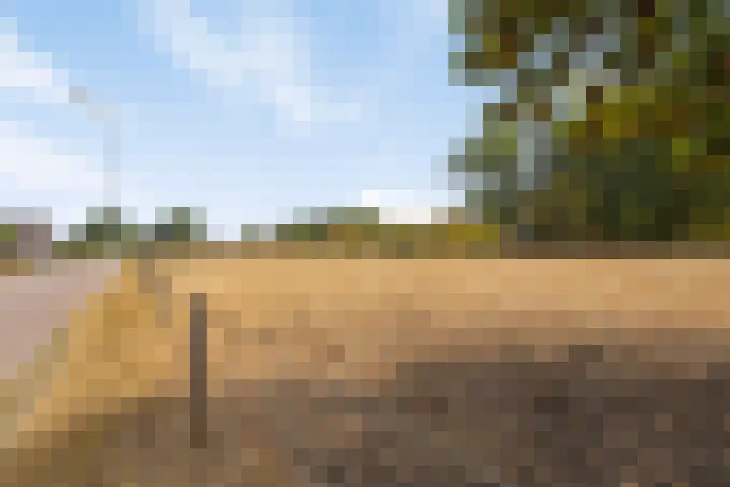 Teerlingstraat 26 Clinge thumbnail 28