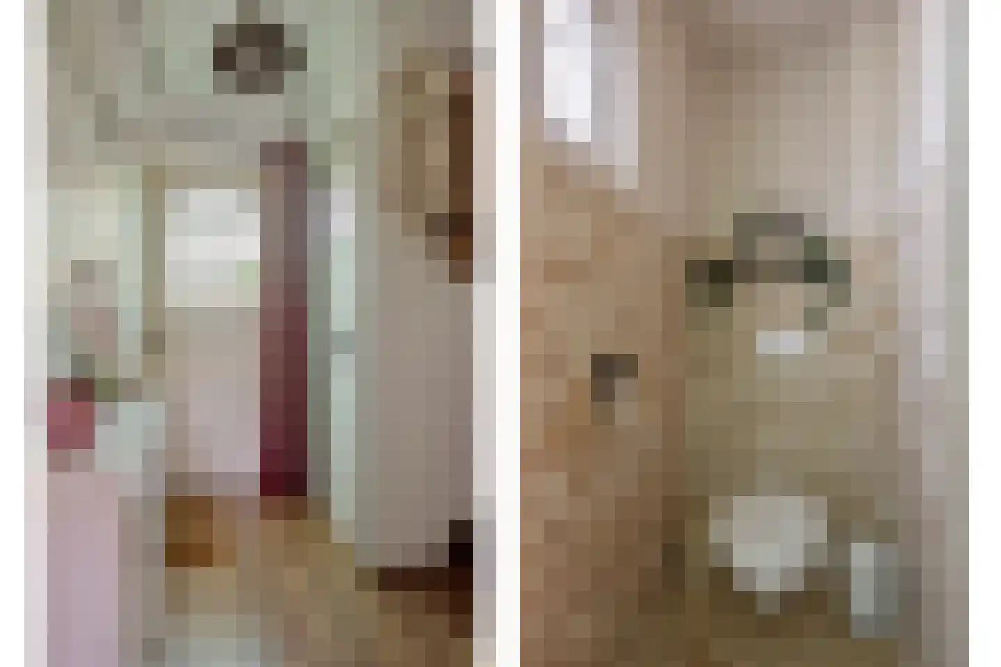 Teerlingstraat 26 Clinge thumbnail 7