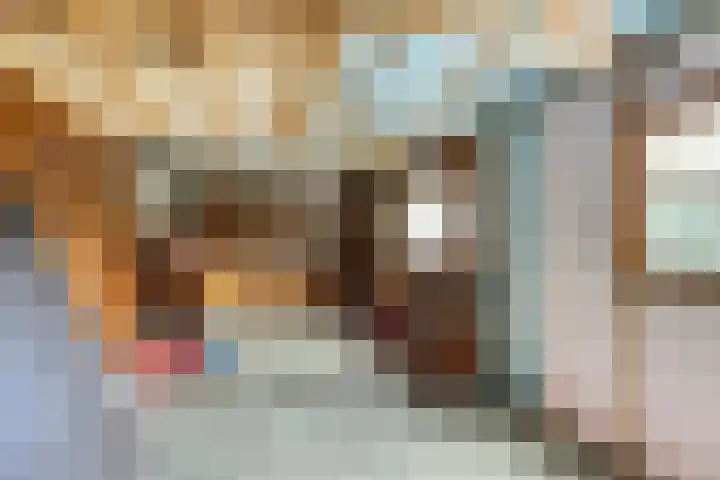 Teerlingstraat 5 Clinge thumbnail 25