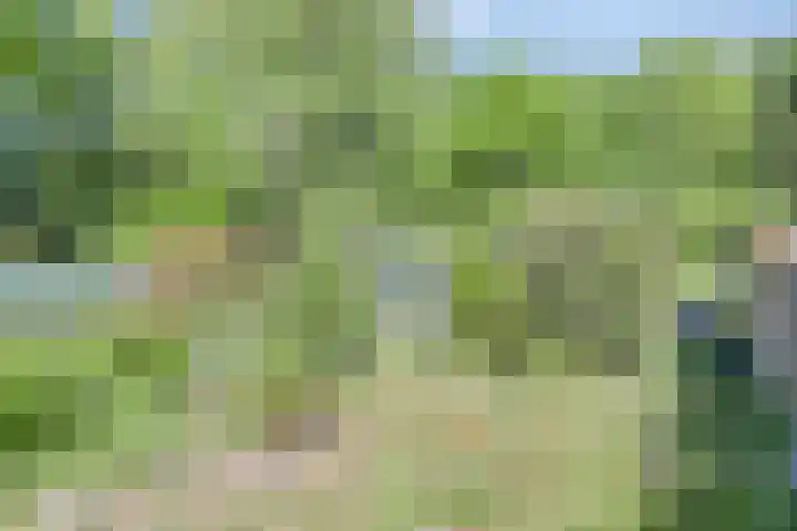 Teerlingstraat 5 Clinge thumbnail 26