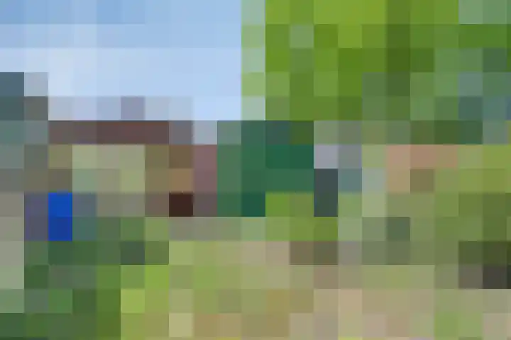 Teerlingstraat 5 Clinge thumbnail 27