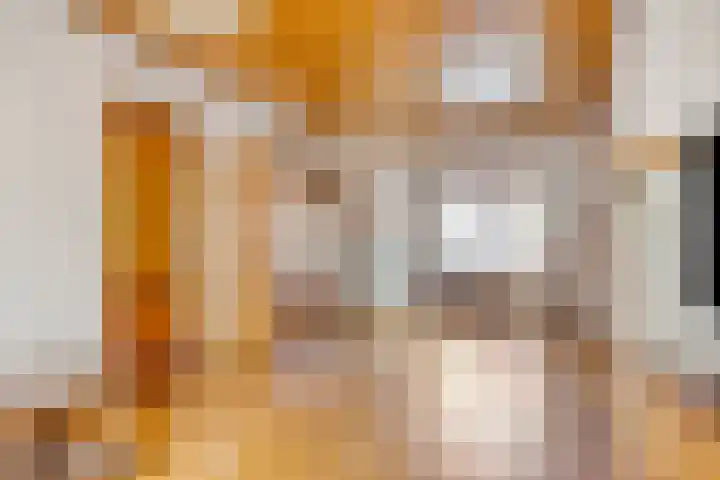 Teerlingstraat 5 Clinge thumbnail 4