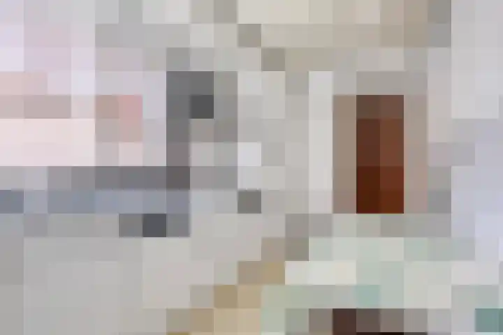 Teerlingstraat 5 Clinge thumbnail 6