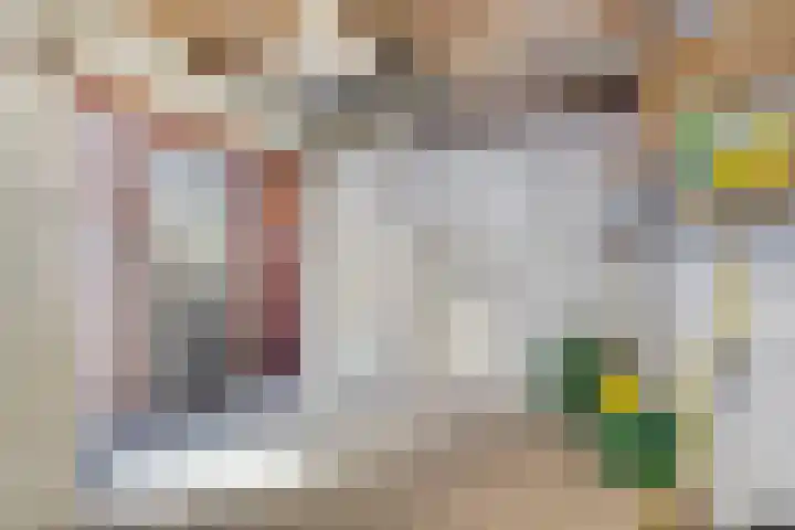 Teerlingstraat 5 Clinge thumbnail 9