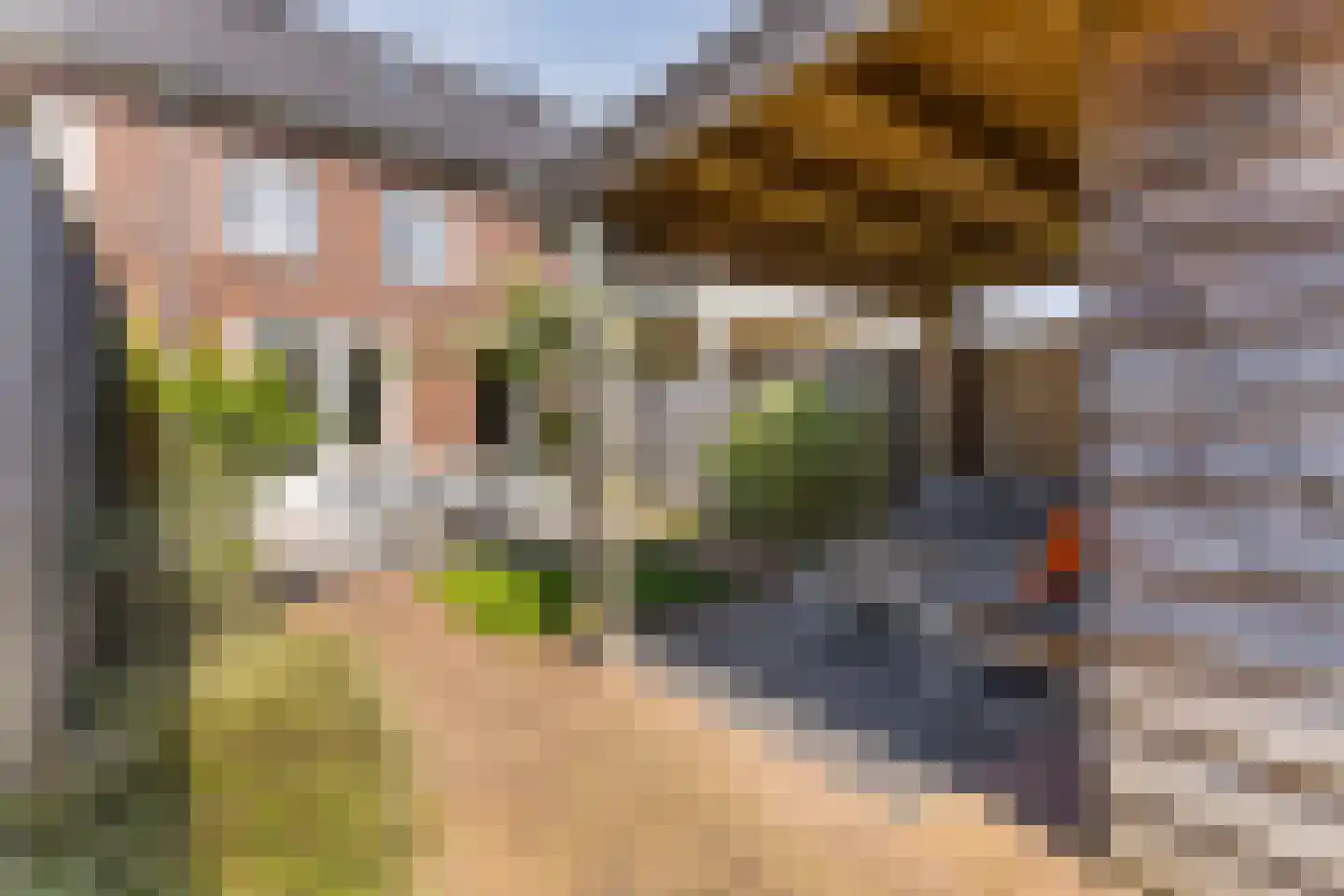 Teerlingstraat 7 Heeswijk-Dinther thumbnail 26