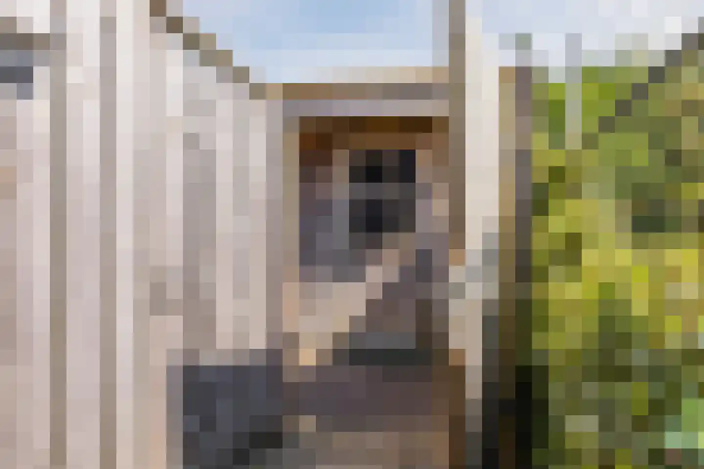 Teerlingstraat 7 Heeswijk-Dinther thumbnail 30