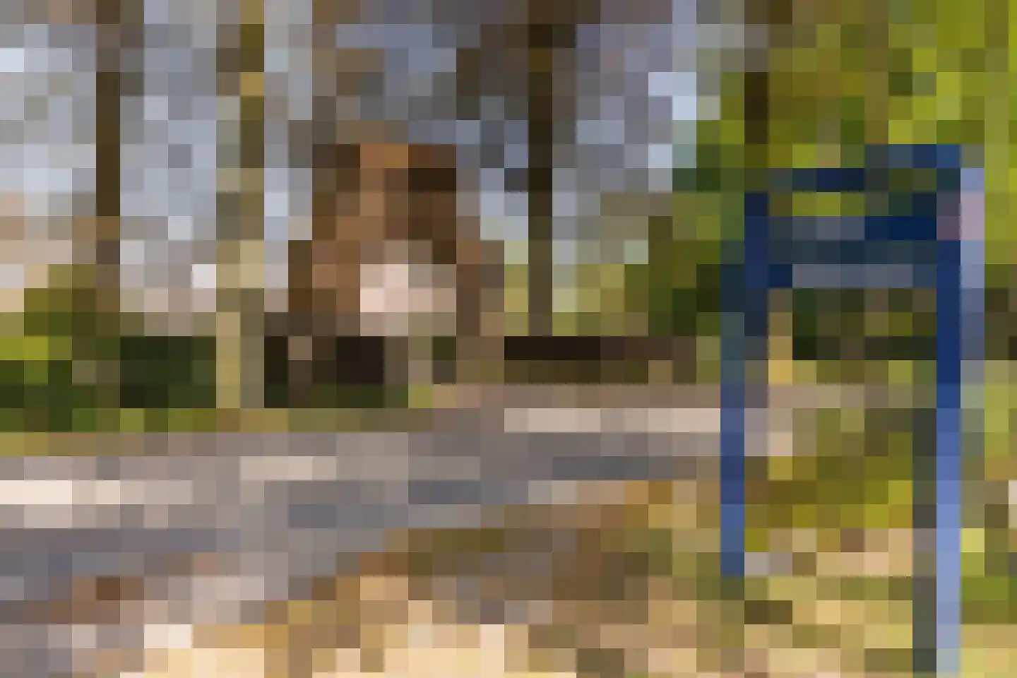 Teerlingstraat 7 Heeswijk-Dinther thumbnail 37