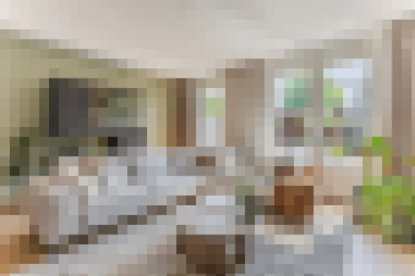 Teerlingstraat 7 Heeswijk-Dinther thumbnail 8