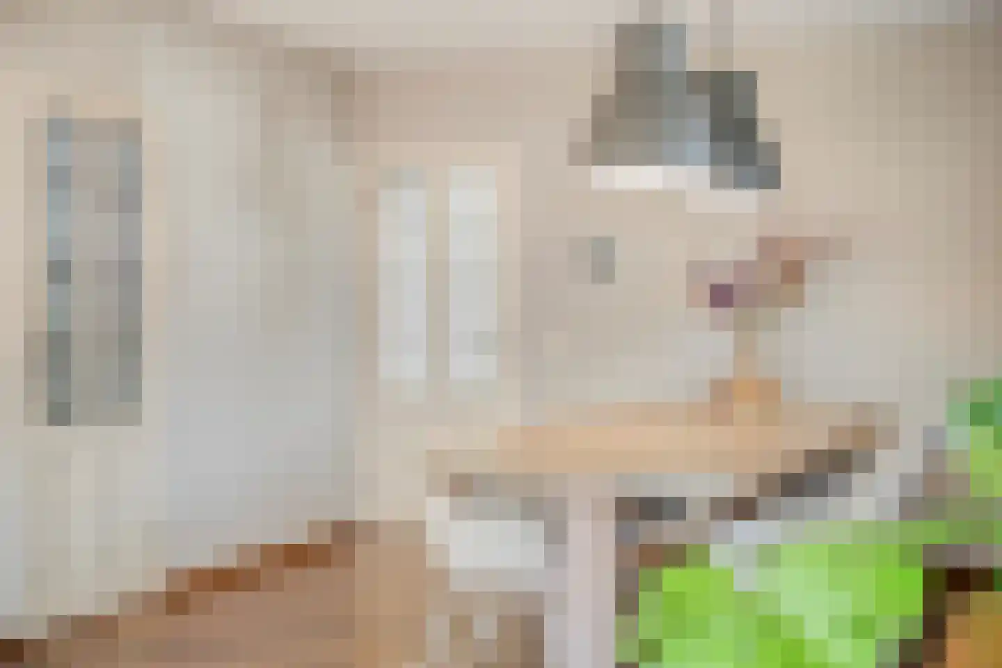 Teeuwserf 42 Dalfsen thumbnail 12