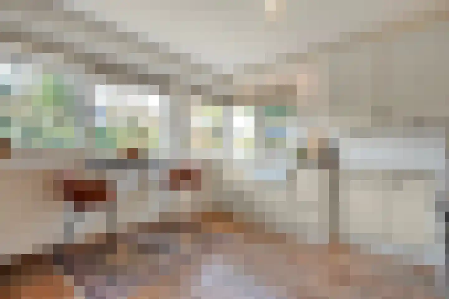 Teeuwserf 42 Dalfsen thumbnail 13