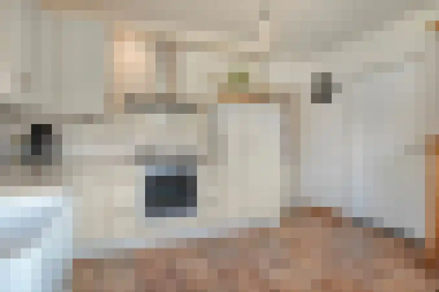 Teeuwserf 42 Dalfsen thumbnail 14