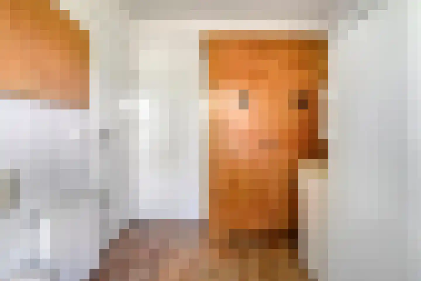 Teeuwserf 42 Dalfsen thumbnail 19