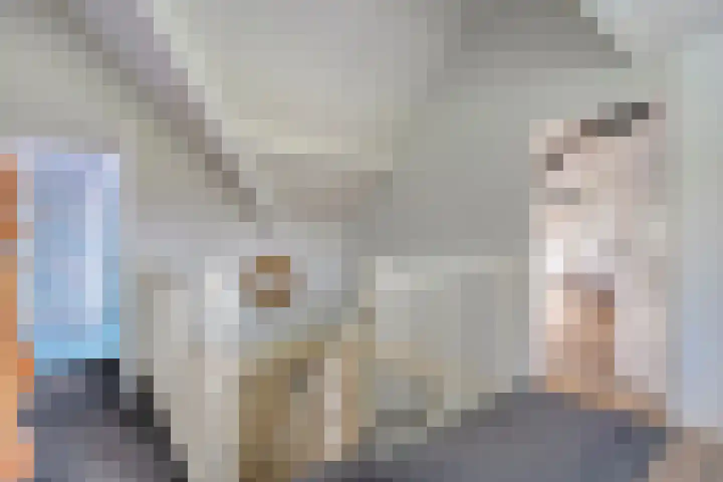 Teeuwserf 42 Dalfsen thumbnail 30