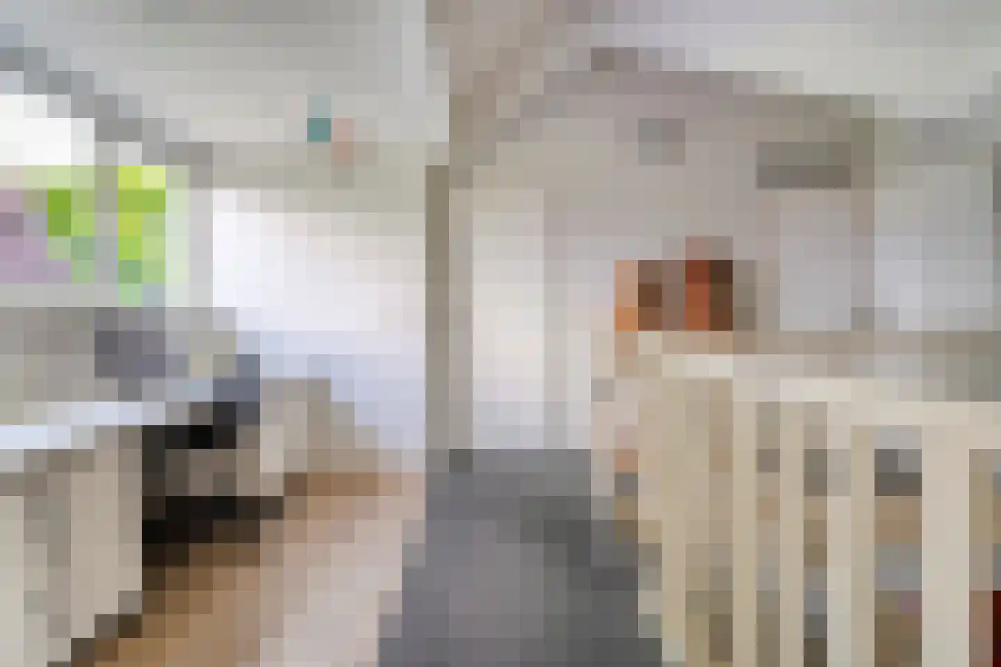 Teeuwserf 42 Dalfsen thumbnail 31