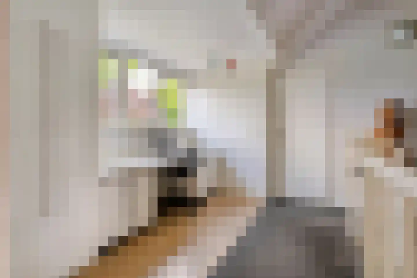 Teeuwserf 42 Dalfsen thumbnail 32