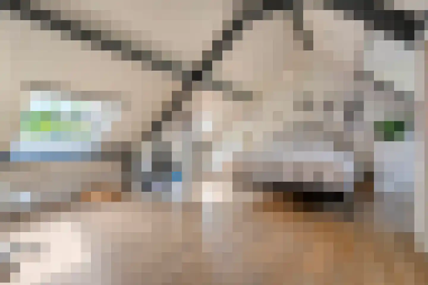 Teeuwserf 42 Dalfsen thumbnail 33