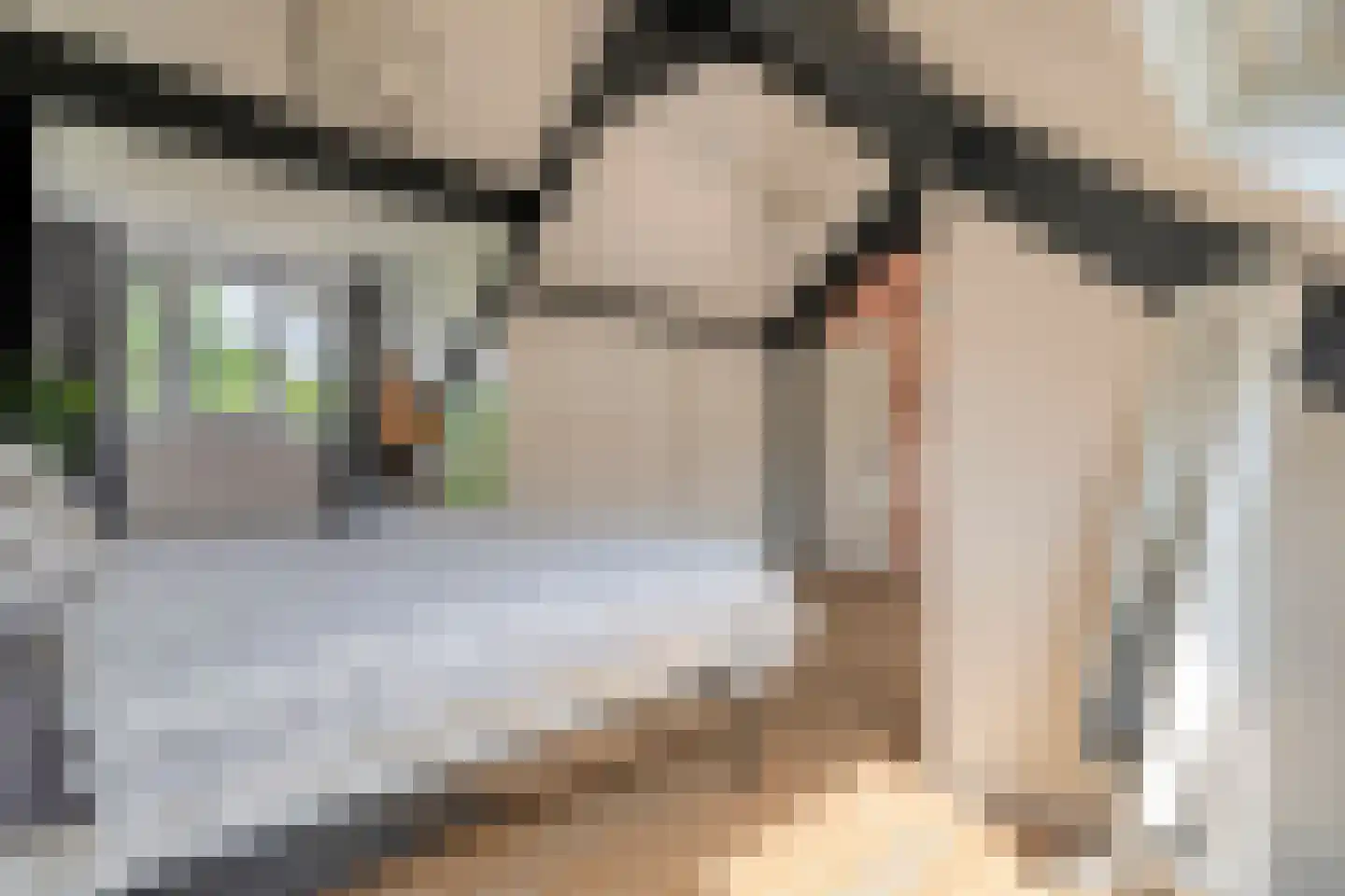 Teeuwserf 42 Dalfsen thumbnail 35
