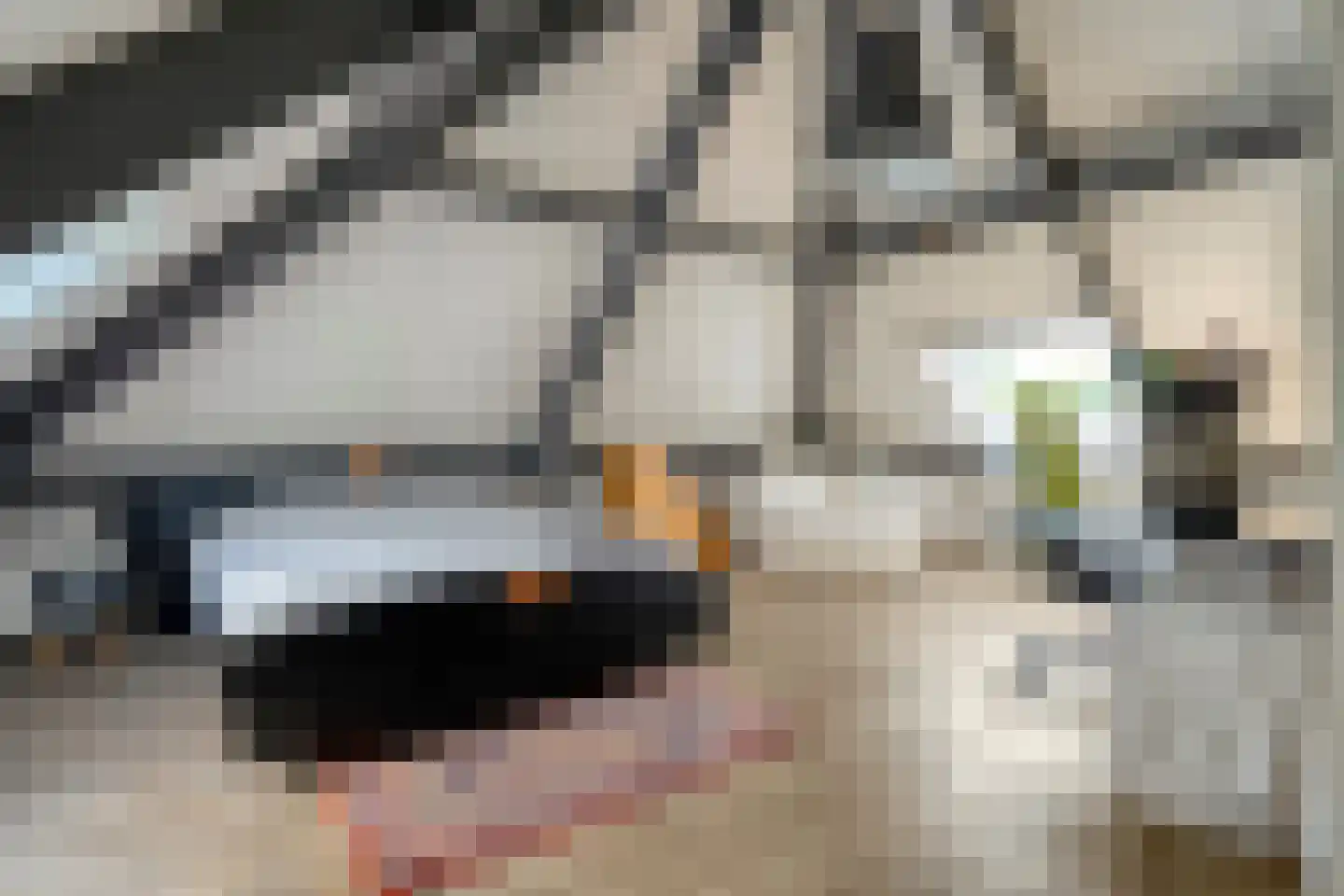 Teeuwserf 42 Dalfsen thumbnail 36