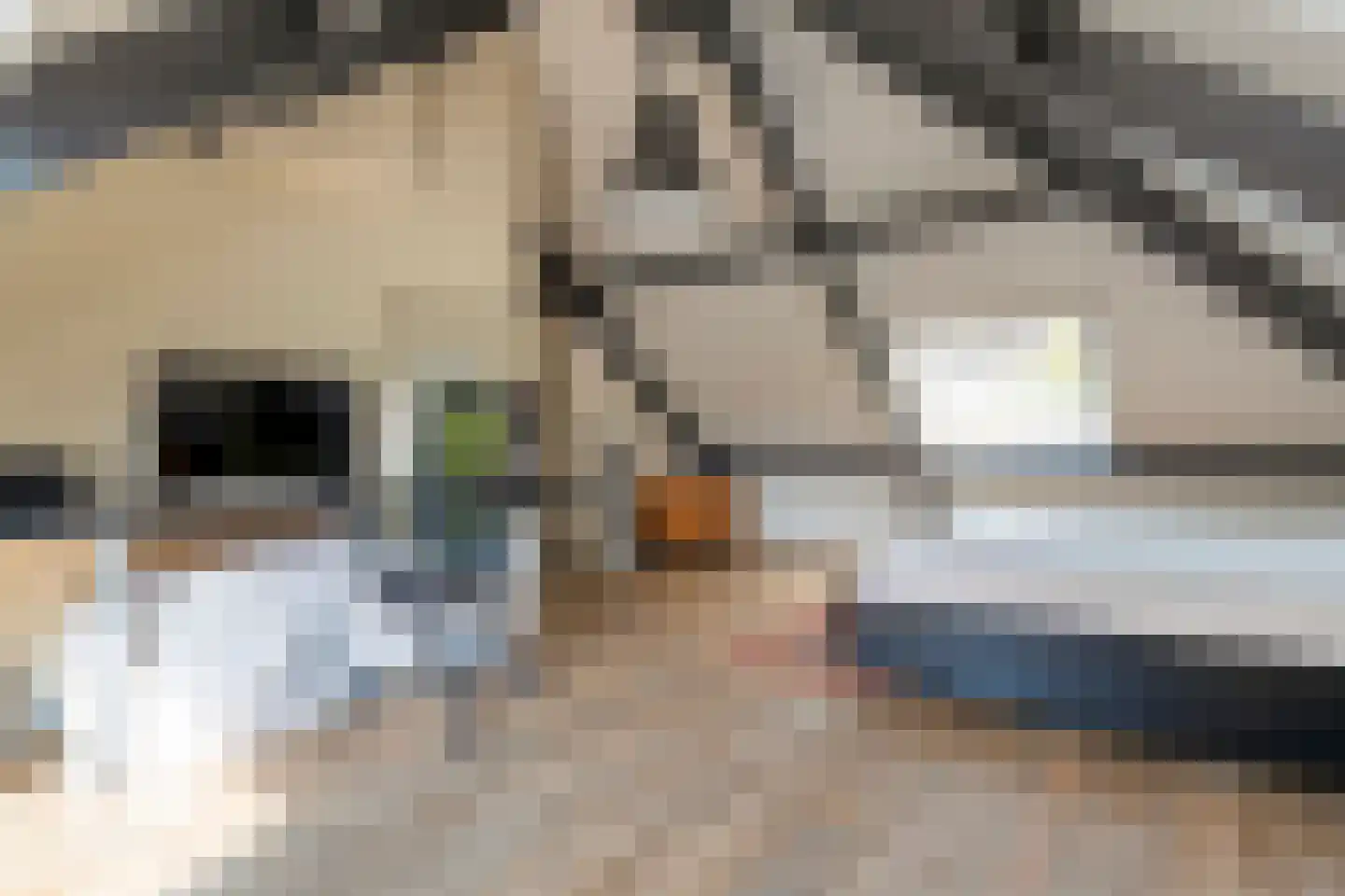Teeuwserf 42 Dalfsen thumbnail 37