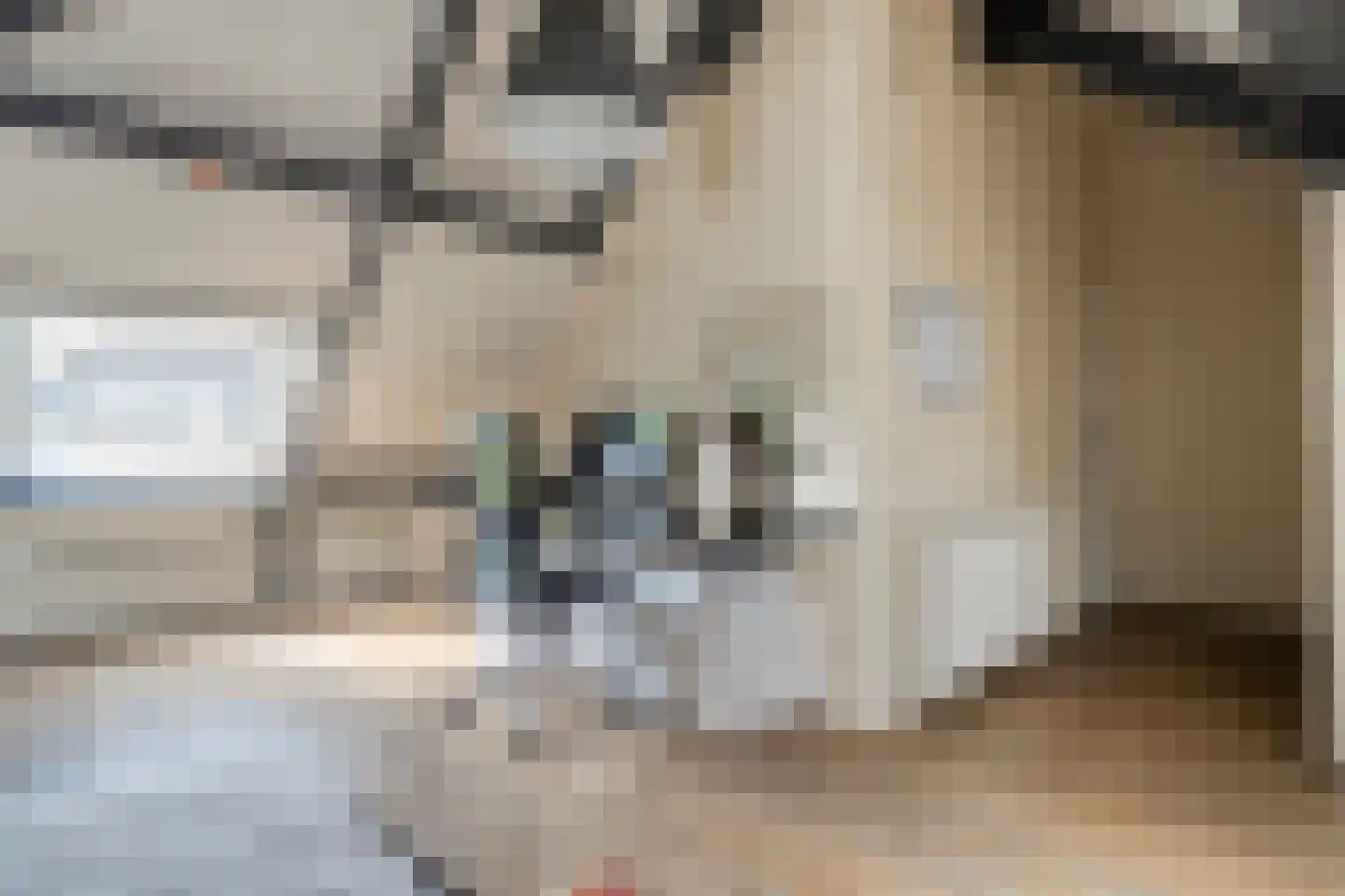 Teeuwserf 42 Dalfsen thumbnail 38
