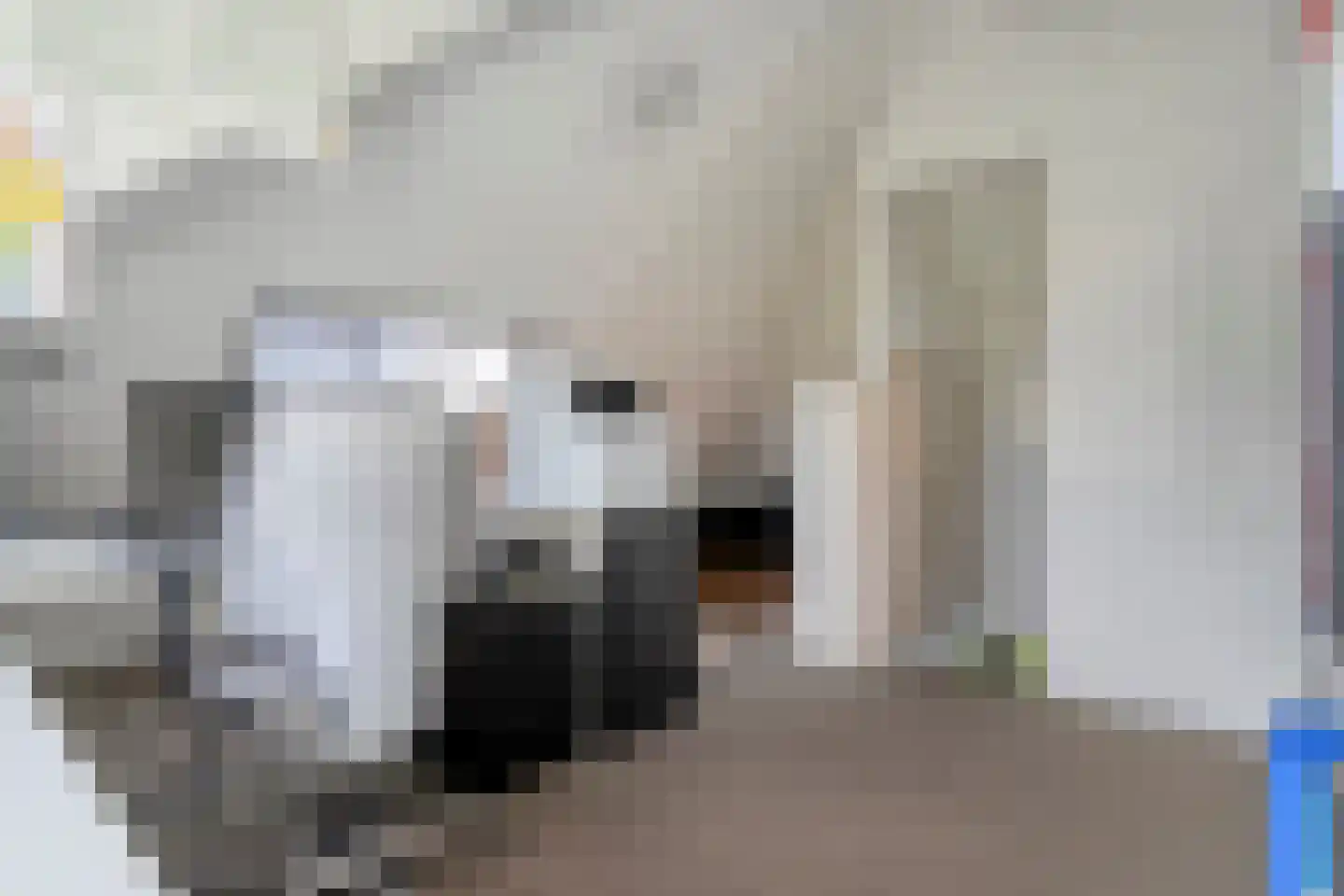 Teeuwserf 42 Dalfsen thumbnail 42